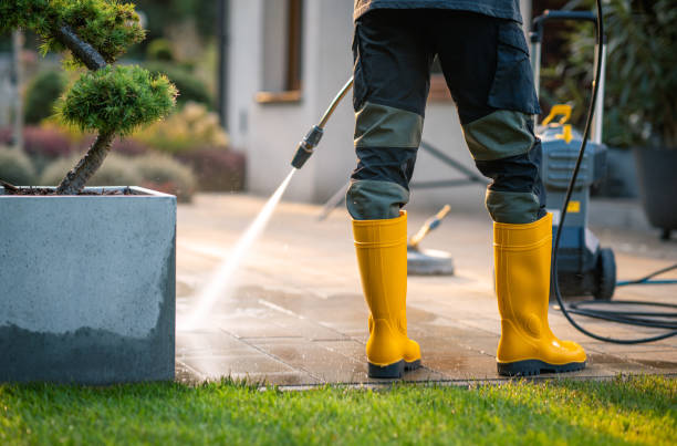 Best Exterior Home Cleaning  in Clarksville, TN